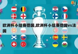 欧洲杯小组赛德国,欧洲杯小组赛德国vs法国
